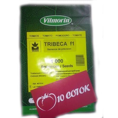 Томат Трібека F1--зображення_3