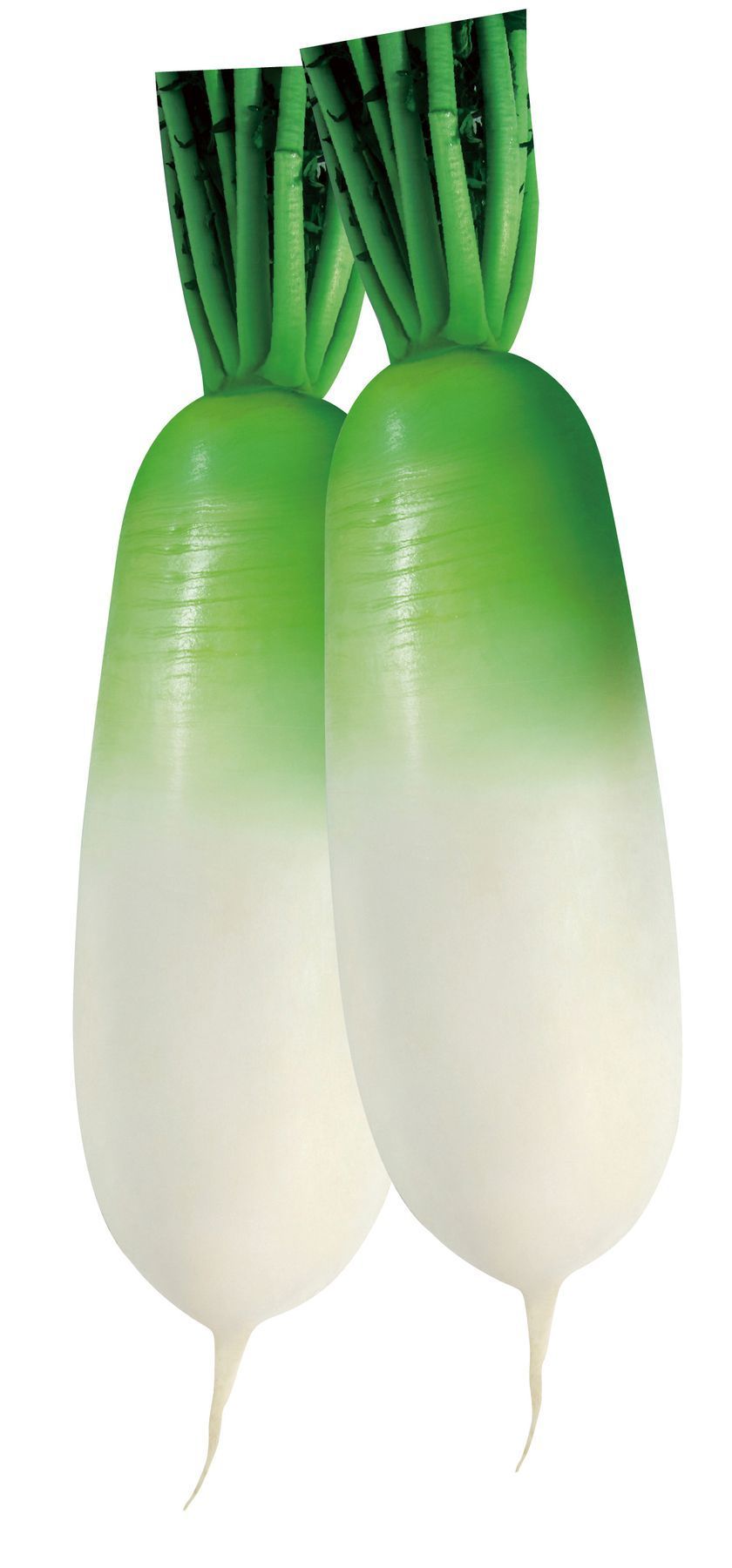 Редис PL 555 F1--зображення_2