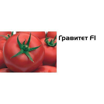 Томат Гравітет F--зображення_4