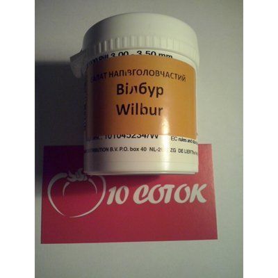 Салат Вілбур--зображення_2