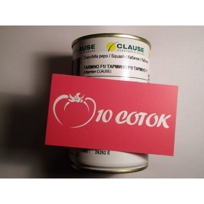 Кабачок Тарміно F--зображення_4