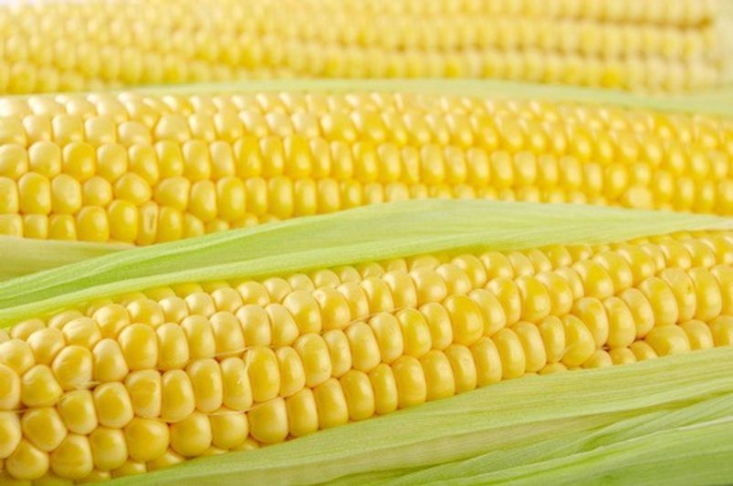 Кукурудза Тусон F-