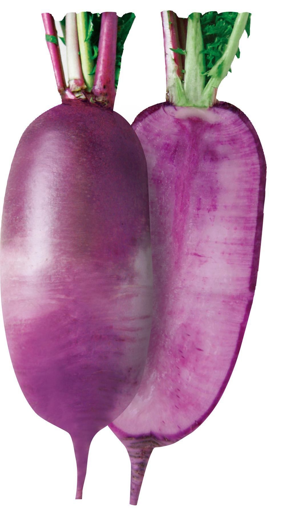 Редис PL 525 F1