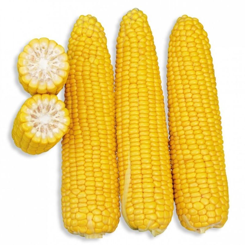 Кукурудза Добриня F-