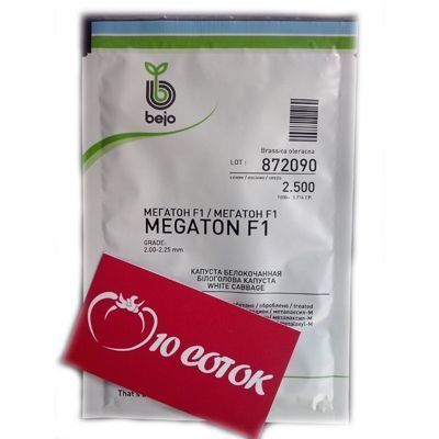 Капуста Мегатон F--зображення_5
