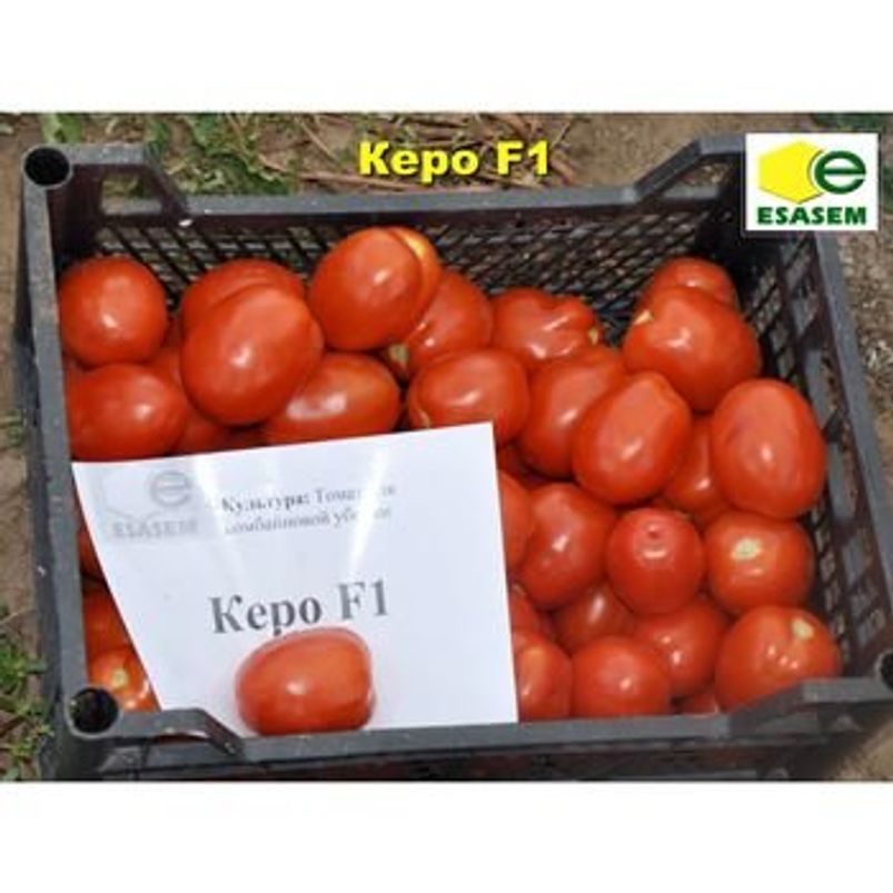 Томат Керо F-