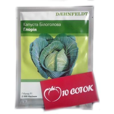 Капуста Глорія F--зображення_4