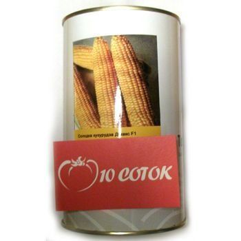 Солодка кукурудза Дімакс F1--зображення_2