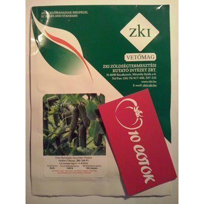 Огірок ZKI 104 F1--зображення_2