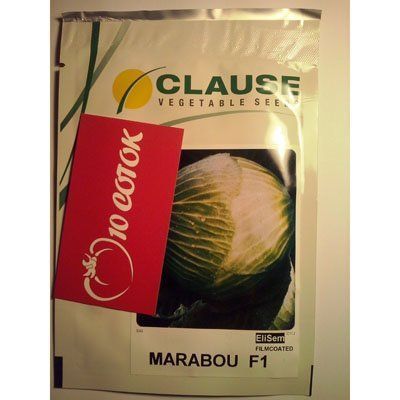 Капуста Марабу F1--зображення_2